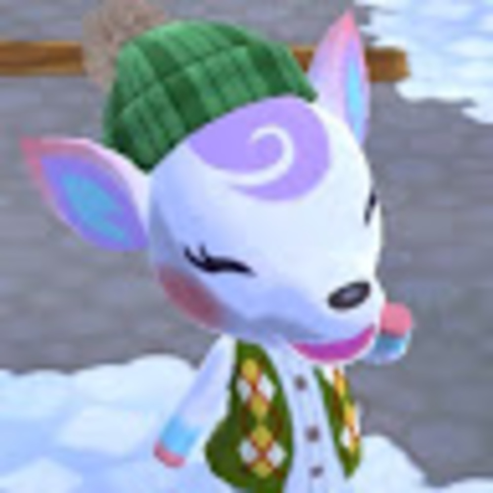 Meet your Posher, Adri